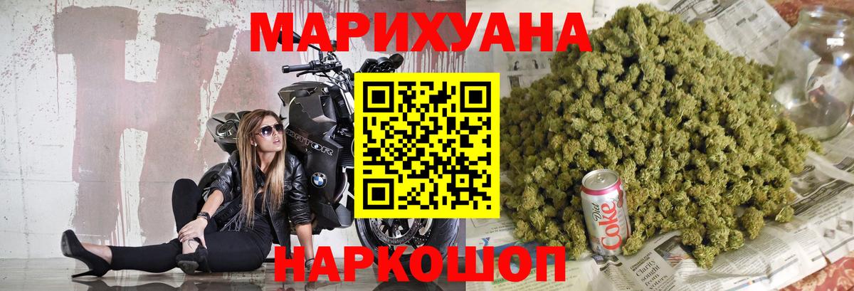 Канабис планчик Луга